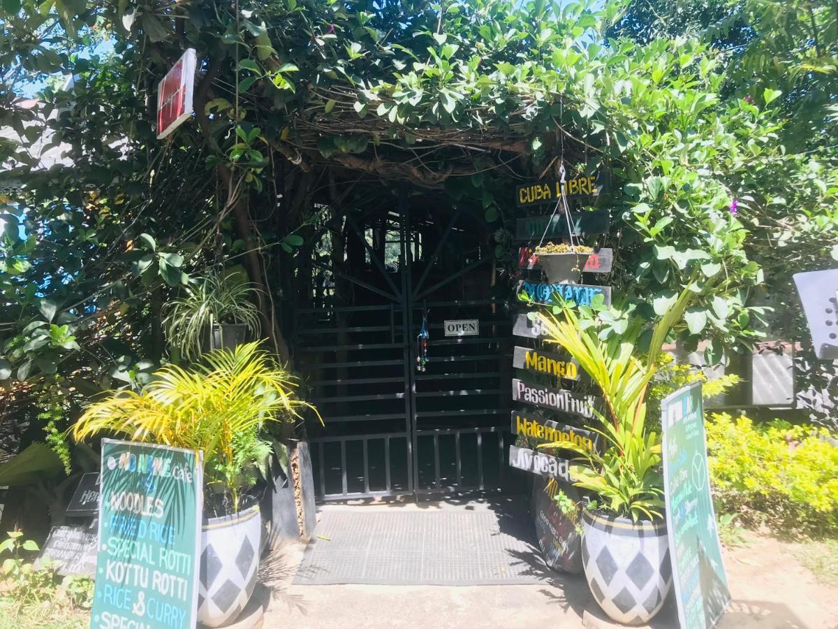 Noname Hostel And Cafe Procida Dış mekan fotoğraf